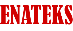 Enateks logosu